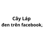 Cây láp của con trai nghĩa đen là gì trên facebook, tiktok?