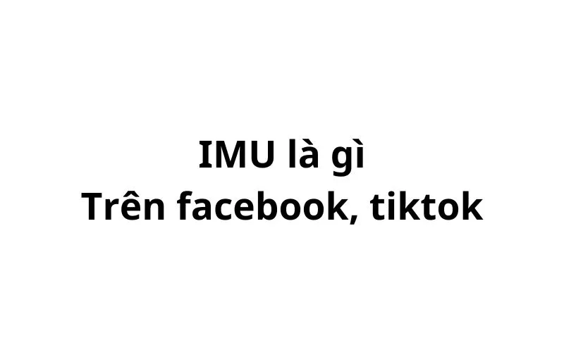 IMU là gì trên facebook, tiktok? viết tắt của từ gì?