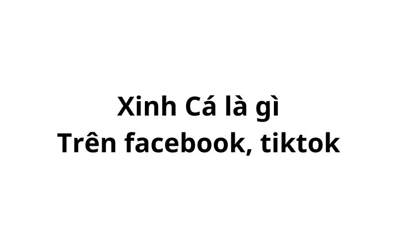 Xinh Cá là gì trên facebook, tiktok?