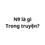 N9 là gì trong truyện? viết tắt của từ gì?