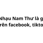 Nhạu Nam Thư là gì trên facebook, tiktok?