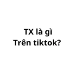 TX là gì trên tiktok? viết tắt của từ gì?