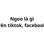 Ngoo là gì trên tiktok, facebook? viết tắt của từ gì?