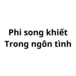 Phi song khiết trong ngôn tình là gì?