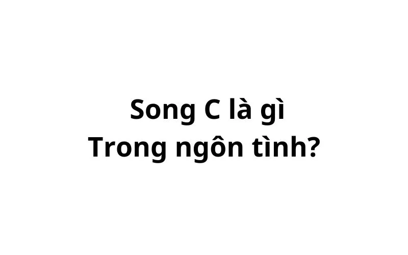 Song c trong ngôn tình là gì? viết tắt của từ gì?