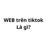 WEB là gì trên tiktok? viết tắt của từ gì?