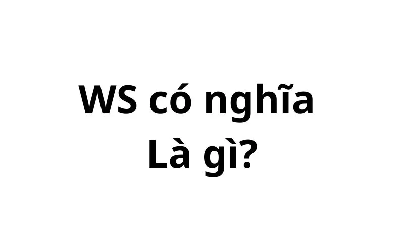 WS có nghĩa là gì? viết tắt của từ gì?