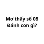 Mơ thấy số 08 đánh con gì? có điềm gì không?